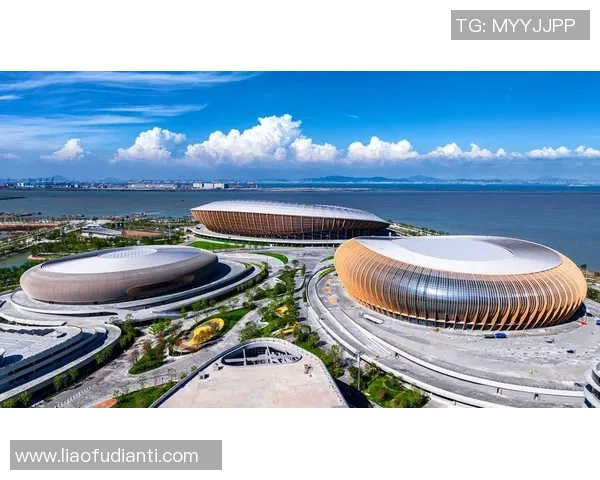 津晶控股南粤足球明星队携手打造足球梦想推动地区体育发展新篇章